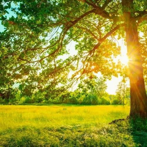 آهنگ جدید  من پای دارو تو کنار یارو از خدا میخوام همش یادت بیاره